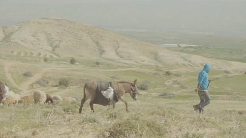Семья Ахмада уже больше сорока лет живет в Фарсийе, маленькой деревне в Иорданской долине.